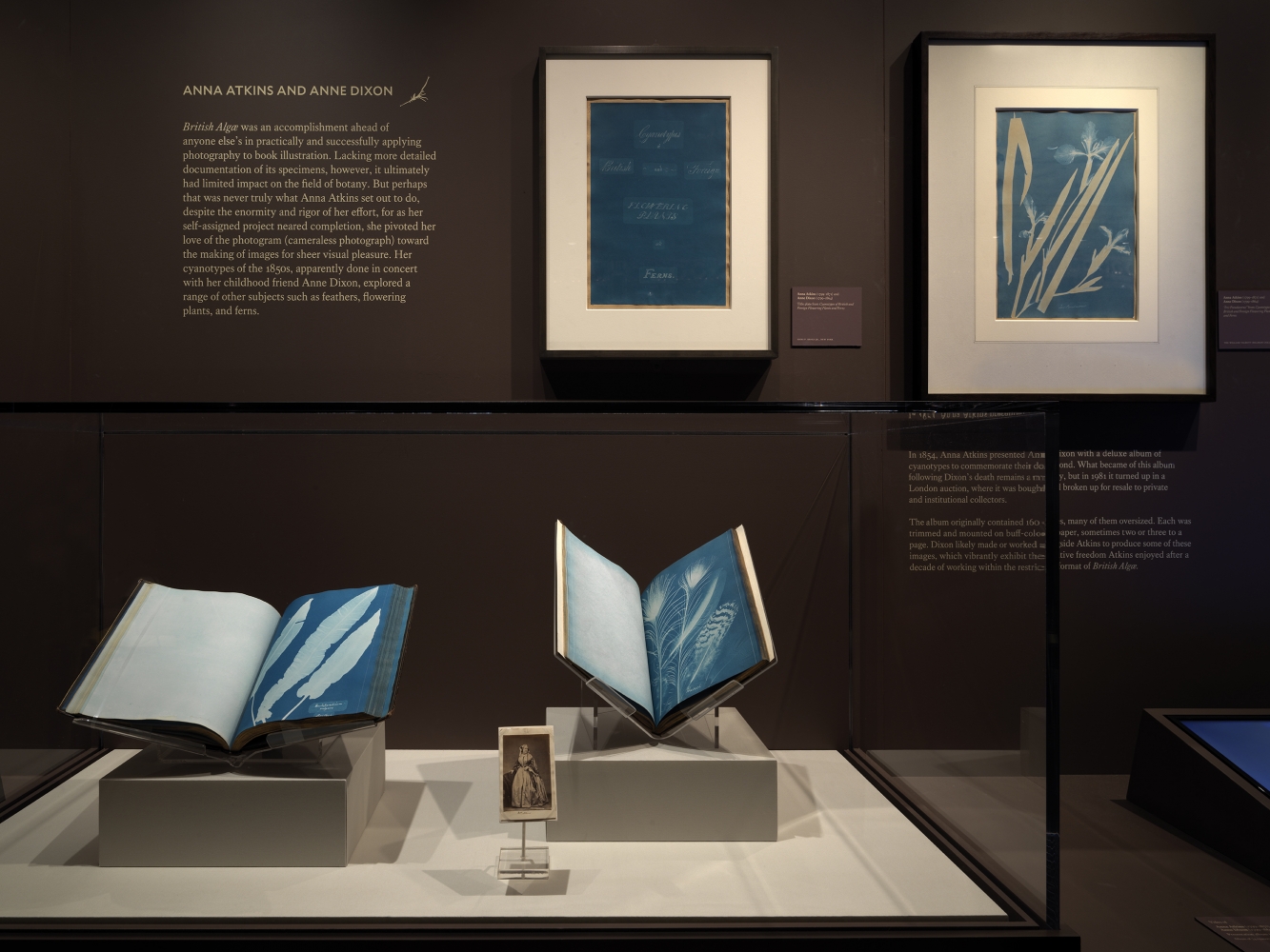Blue Prints: The Pioneering Photographs of Anna Atkins