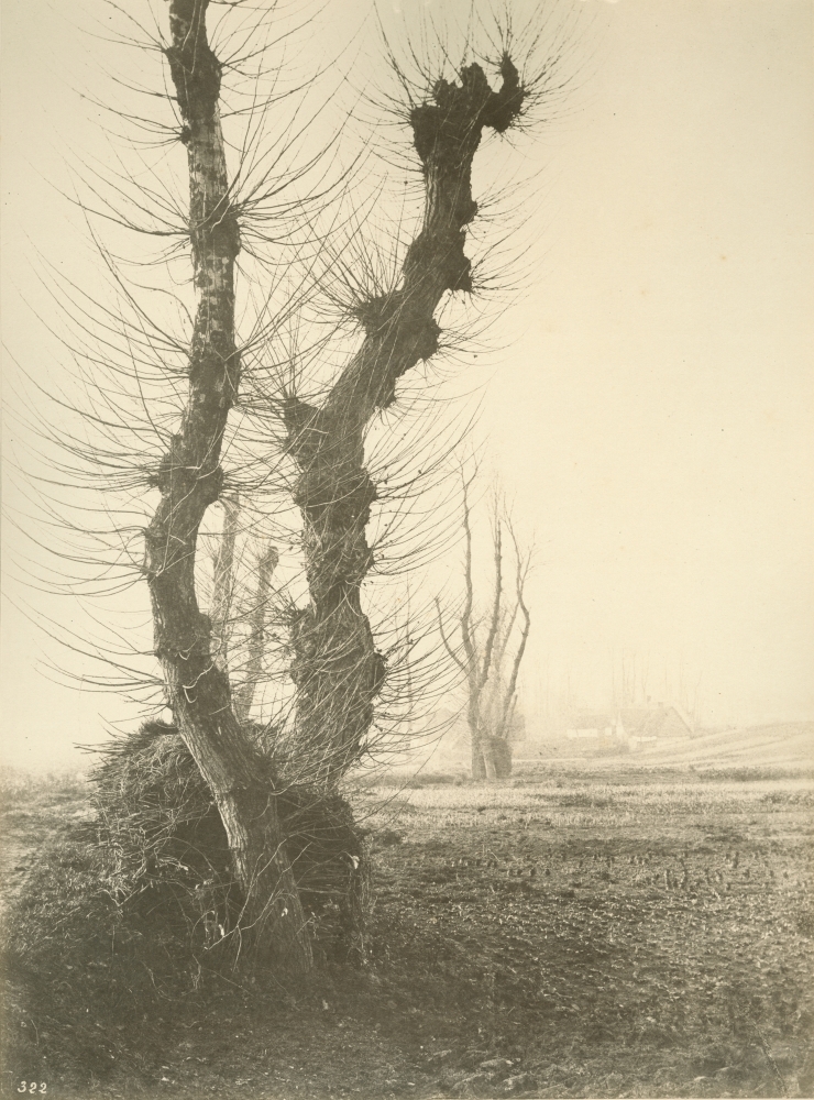 Eugène CUVELIER (French, 1837-1900) "Achicourt, près Arras, Janvier, 1866", 1866 Albumen print 34.3 x 25.4 cm mounted on 70.8 x 54.9 cm paper Numbered 322 by the photographer in the negative