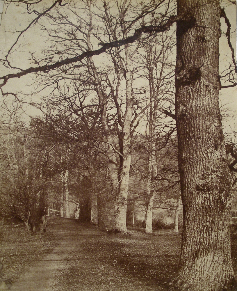 Benjamin Brecknell TURNER (English, 1815-1894) "In Loseley Park"*, 1852-1854 Albumen print from a waxed calotype negative 27.0 x 22.4 cm Titled in pencil on verso