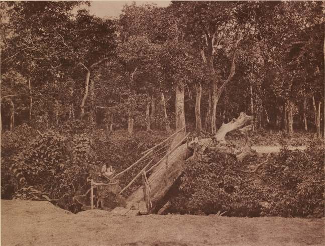 Captain Linnaeus TRIPE (English, 1822-1902) "No. 118. Rangoon. Natural Bridge." Burma, 1855 Albumenized salt print from a waxed paper negative 25.2 x 33.3 cm mounted on 45.6 x 58.3 cm paper Signed "L. Tripe" in ink. Photographer's blindstamp and printed label with plate number, title and "A fallen tree over Tiger Alley near the American Mission at Kemindine." on mount.