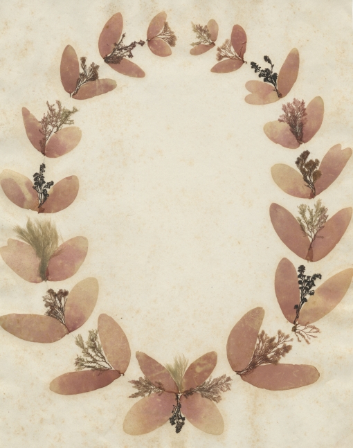 Attributed to Helen Mary Bagg (American, 1825-1897), Circular seaweed arrangement, circa 1885