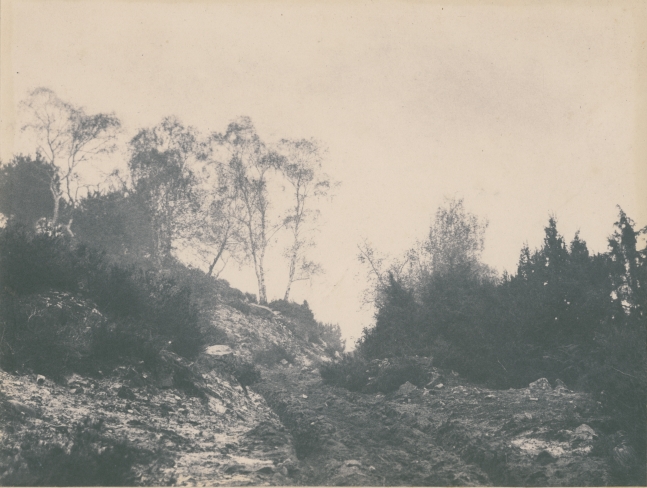 Eugène CUVELIER (French, 1837-1900) Pathway in the Forest of Fontainebleau*, October 1862 Salt print from a paper negative 19.8 x 25.8 cm, ruled in pencil, mounted on 39.5 x 52.2 cm paper Numbered "N. 168" and dated "8br 62" in pencil on mount